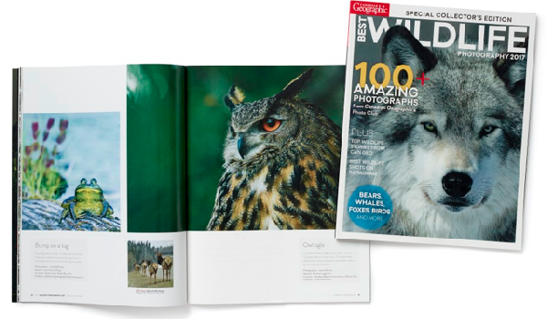 Canadian Geographic Wildlife Photography Issue