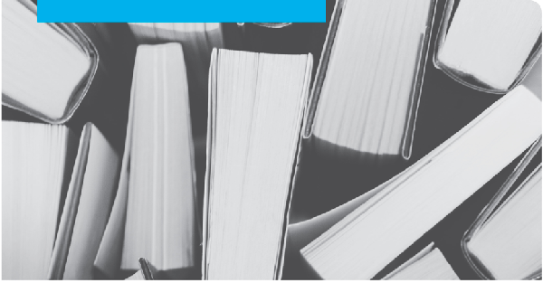 E Books sales have flattened out at 20% of the market 
