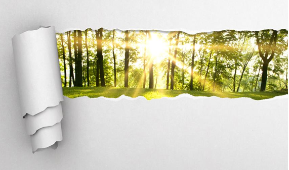 Two Side report claims paper is part of the solution on emissions not the problem 