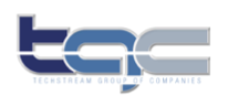 Techstream Virtual Procurement Systems 