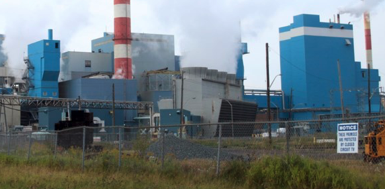Once had the worlds largest paper machine