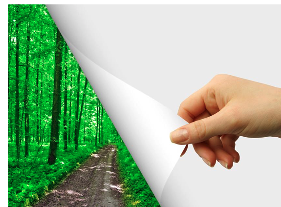Canada tops the list of certified forest by total acres and by % 