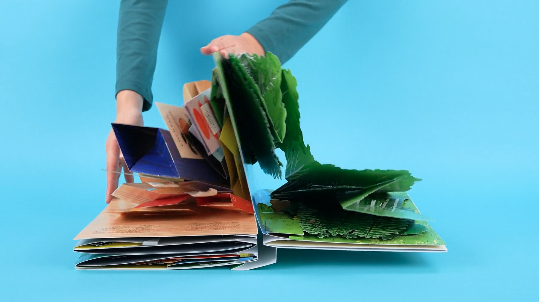 The ultimate pop-up book 