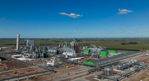UPM's new Paso de los Toros pulp mill in Uruguay